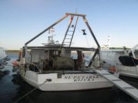 Apartmani Villa Diana, Punat