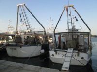 Apartmani Villa Diana, Punat