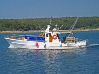 Apartmani Villa Diana, Punat